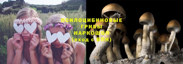 прущая мука Нефтекумск