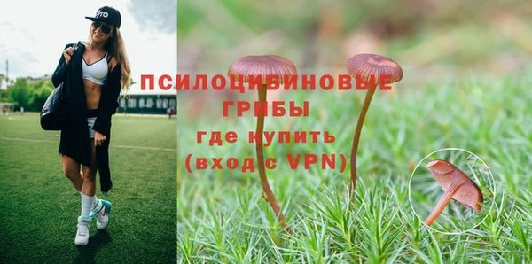 дурь Наволоки
