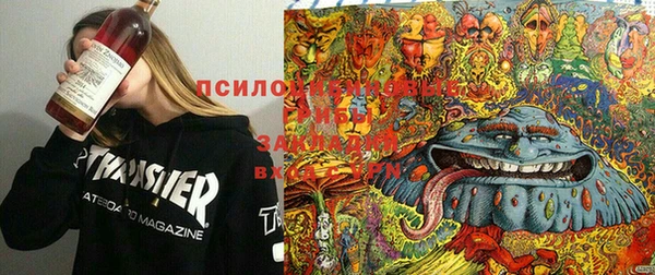прущие крисы Медногорск