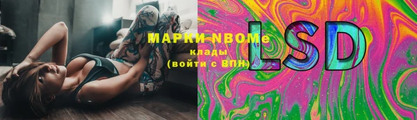 СК Медвежьегорск