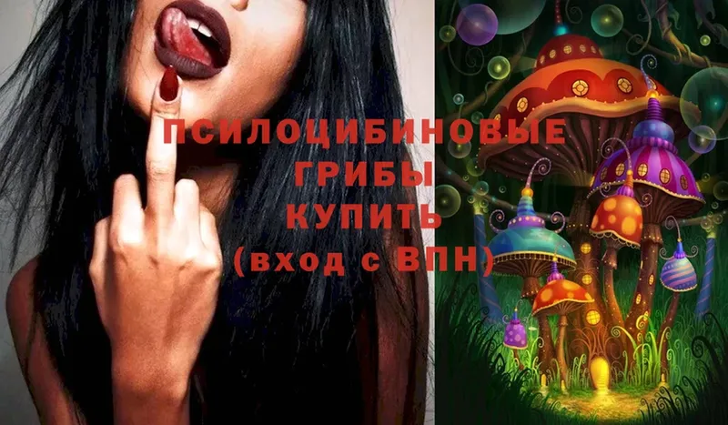 Псилоцибиновые грибы Magic Shrooms  Карталы 