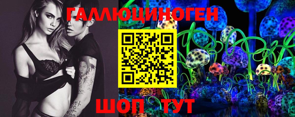 Карталы  Псилоцибиновые грибы Psilocybine cubensis  Вход с VPN 